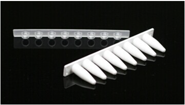 0.2ml 八联排管 光学平盖 白色（KG2543）