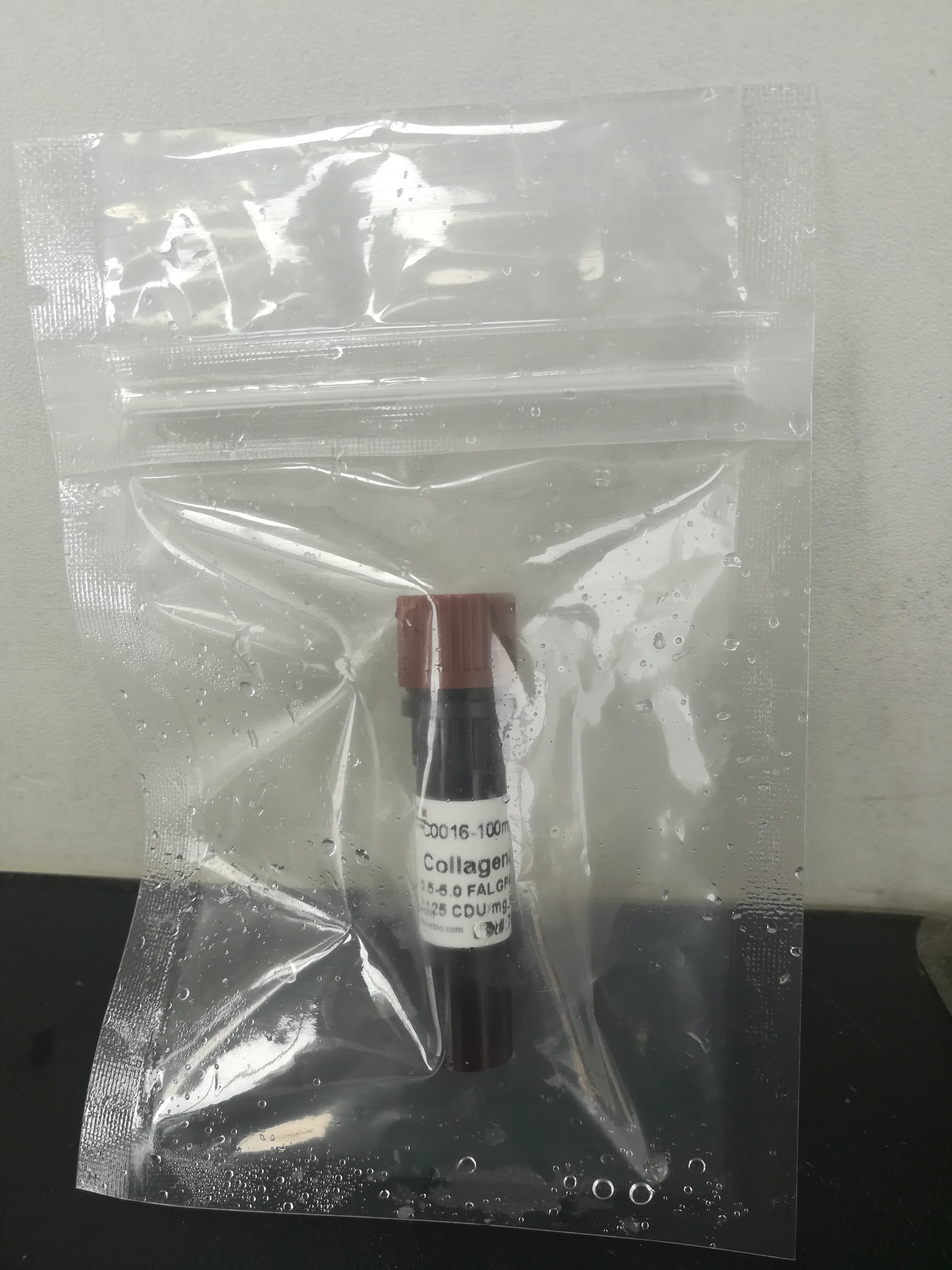 Collagenase Type IV（胶原酶IV型）（C0016-1）