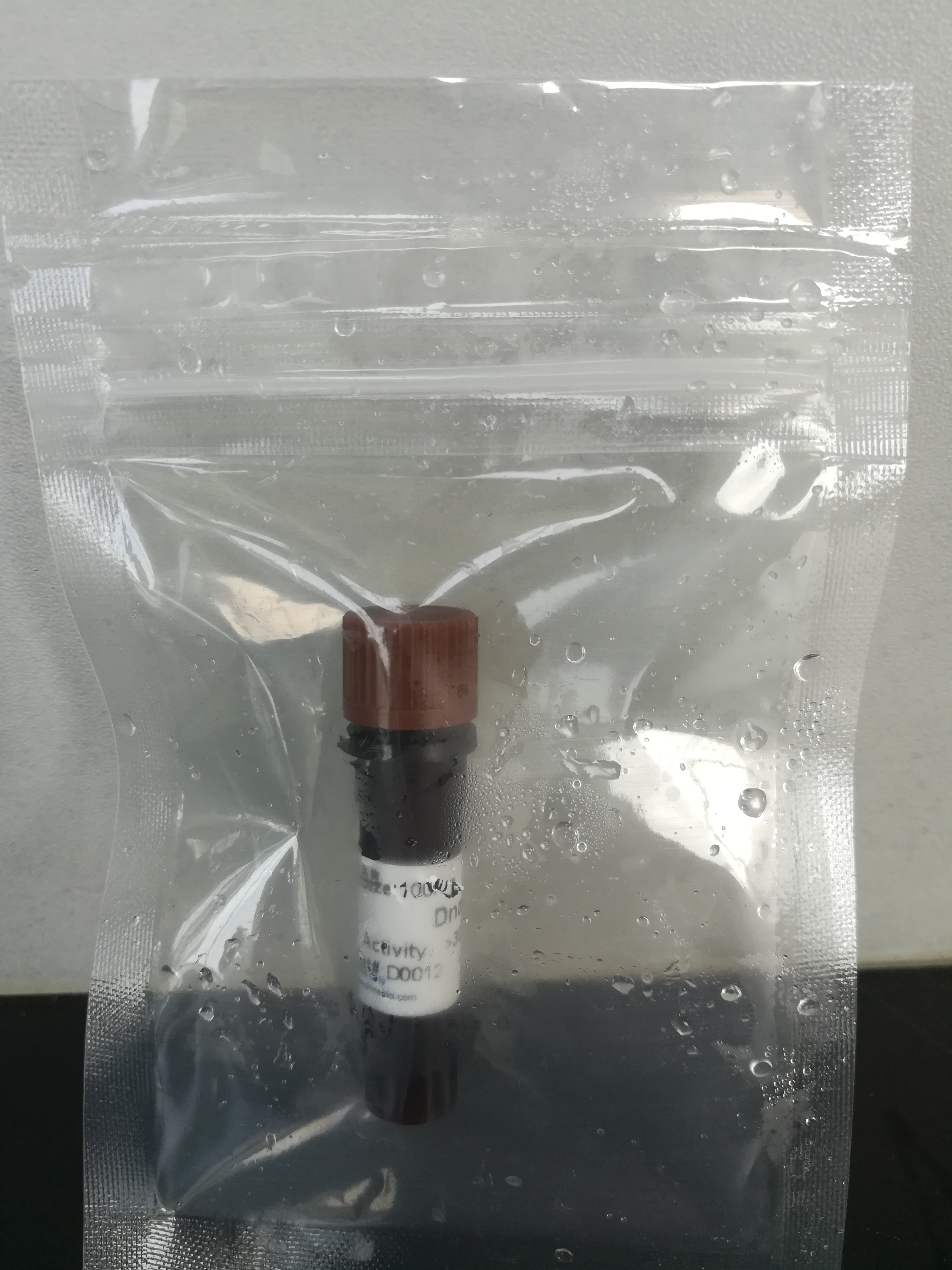 DNase I（脱氧核糖核酸酶）（D0012）