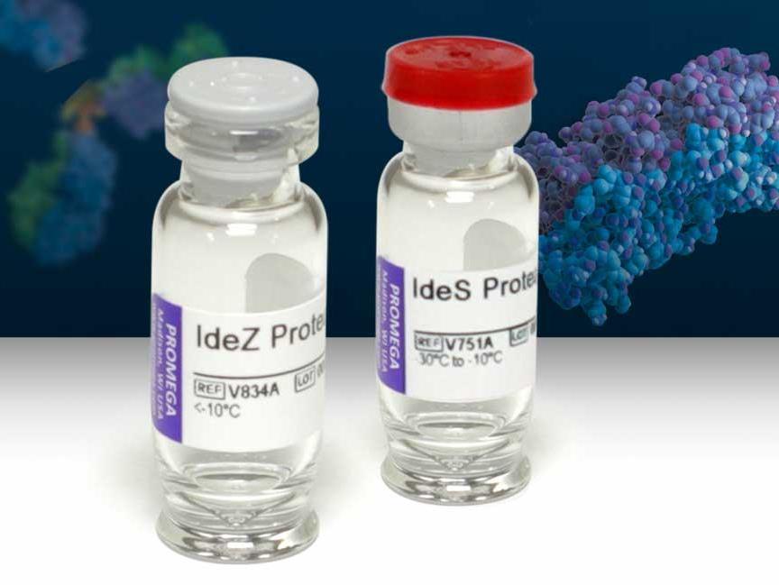 IdeZ Protease（V8345）