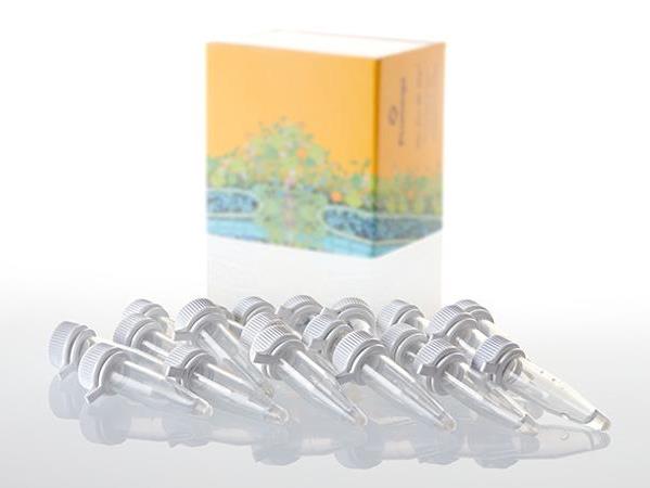 Single Step (KRX) Competent Cells（L3002）