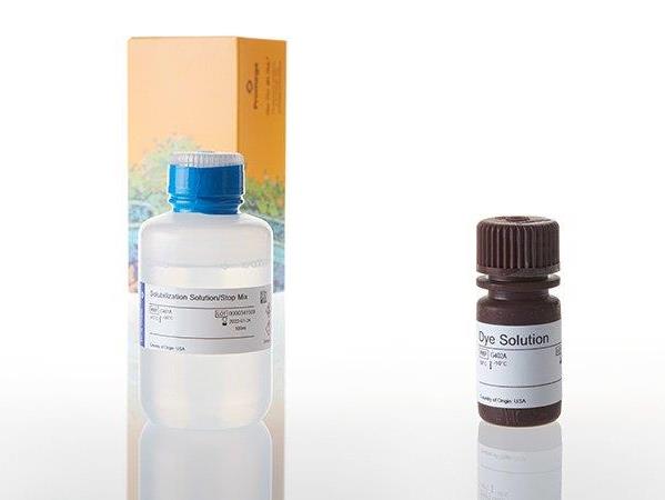 CellTiter 96® Non-Radioactive Cell Proliferation Assay（G4000）