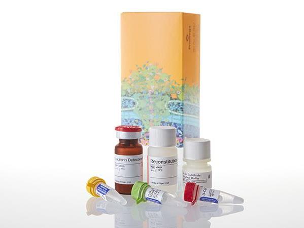 ROS-Glo™ H₂O₂ Assay（G8821）