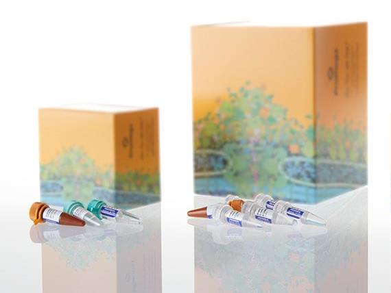 Water, Amplification Grade（DW0991）