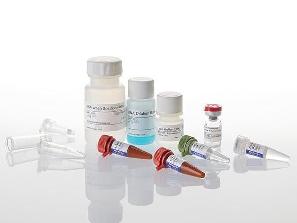 ReliaPrep™ miRNA Cell and Tissue Miniprep System（Z6212）