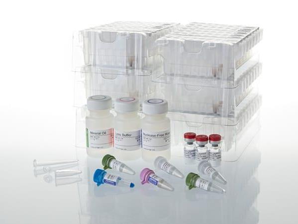 Maxwell® CSC RNA FFPE Kit（AS1360）