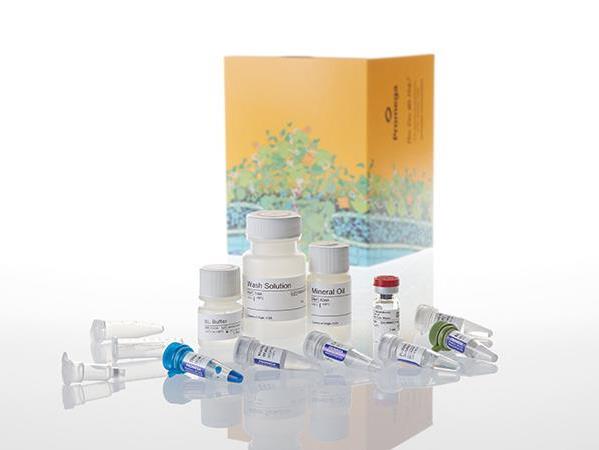 ReliaPrep™ FFPE Total RNA Miniprep System（Z1002）