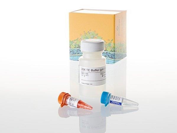 QuantiFluor® dsDNA System（E2670）