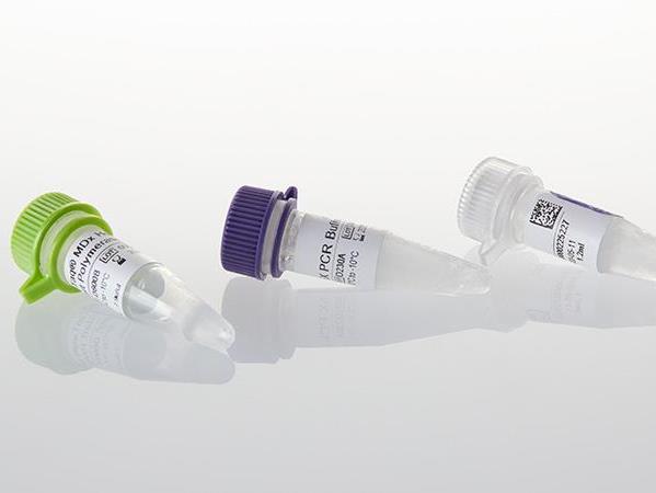 5X PCR Buffer F（D2351）