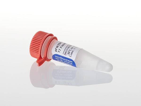 pFN29K His6HaloTag® T7 Flexi® Vector（G8331）