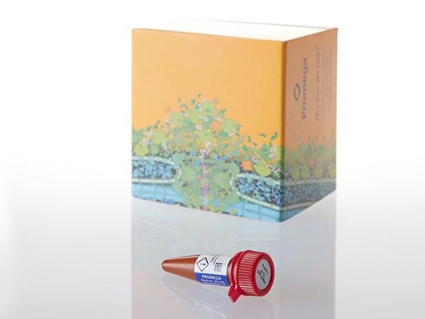 HaloTag® Alexa Fluor® 488 Ligand（G1001）