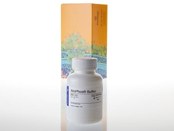 AttoPhos® Buffer（S1022）