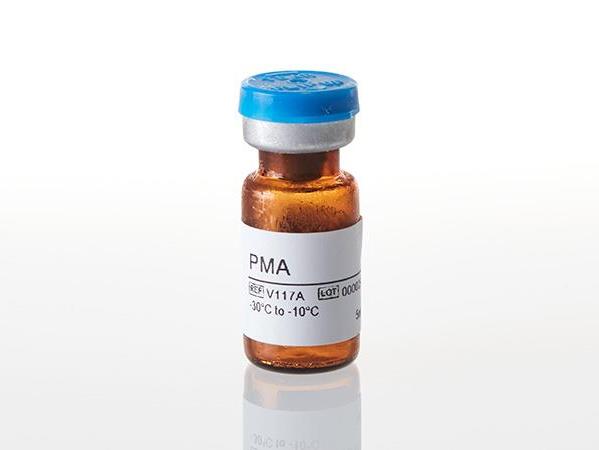 PMA（V1171）