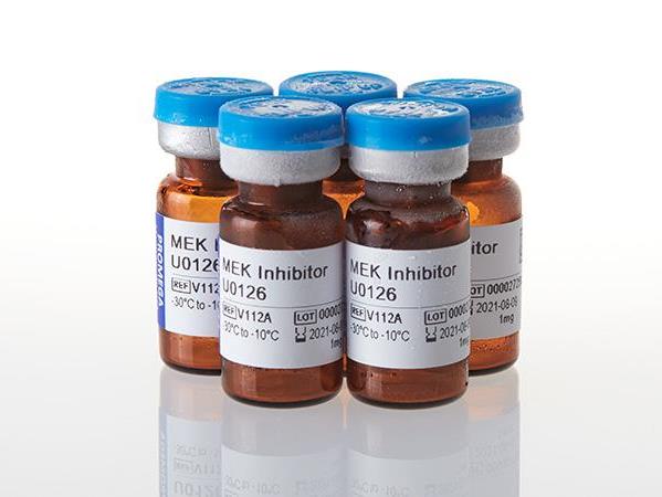 MEK Inhibitor U0126（V1121）