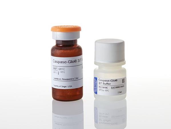 Caspase-Glo® 3/7 Assay（G8090）