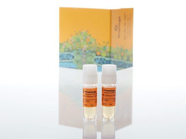 4-1BB Bioassay（J2332）