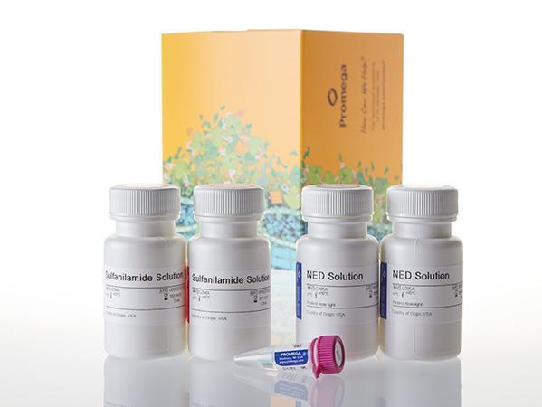 Griess Reagent System（G2930）