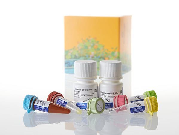 Glutamine/Glutamate-Glo™ Assay（J8022）