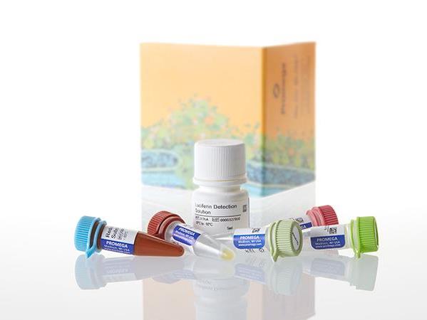 Glutamate-Glo™ Assay（J7021）