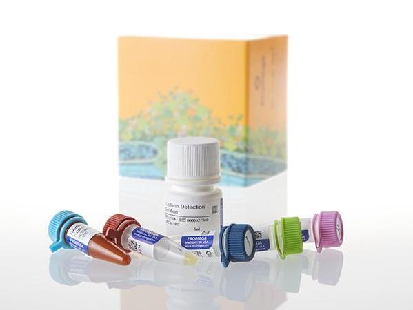 Glucose-Glo™ Assay（J6022）