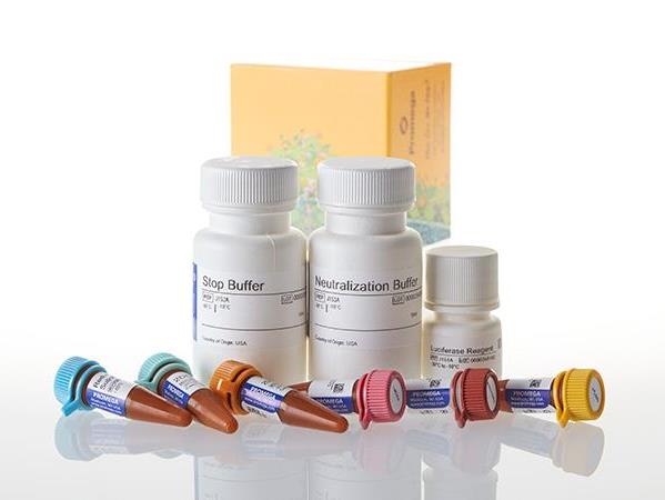 Glucose Uptake-Glo™ Assay（J1342）