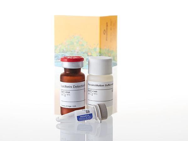 P450-Glo™ CYP2D6 Screening System（V9890）