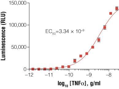 GloResponse™ NF-κB-RE-luc2P HEK293 Cell Line（E8520）