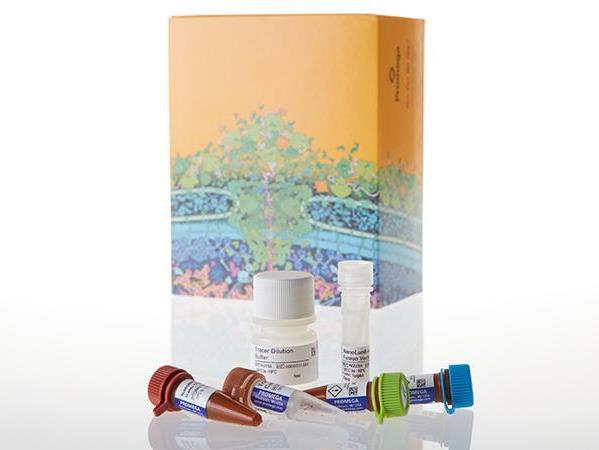 NanoBRET™ TE  Intracellular  HDAC Assay（N2080）