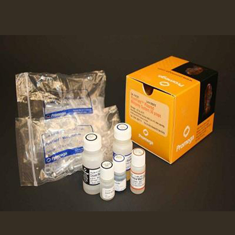 PureYield™ Plasmid Miniprep Start-Up Kit（A6812）