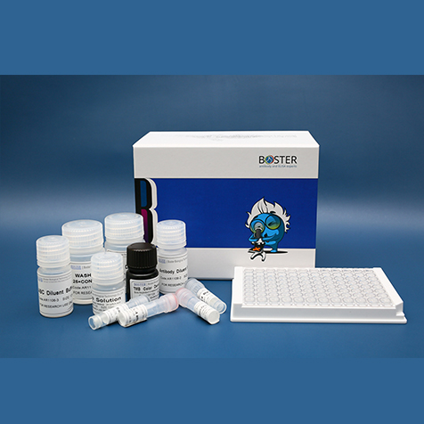 11,12-EET/DHET ELISA Kit（EK7129）