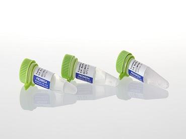 Terminal Transferase Buffer Pack（M1893）