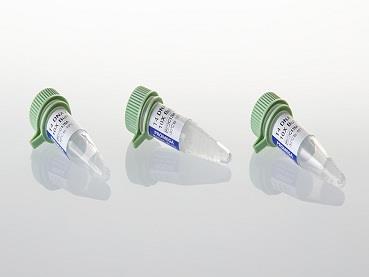 T4 DNA Ligase Buffer Pack（C1263）