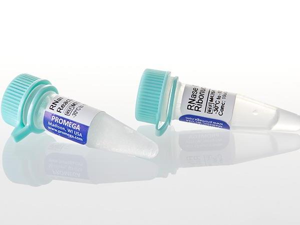 RNase ONE™ Ribonuclease（M4265）