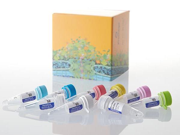 Prime-a-Gene® Labeling System（U1100）