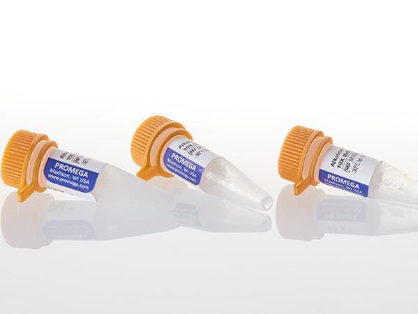 CIAP Buffer Pack（M1833）