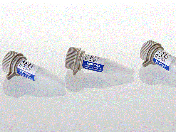2X Rapid Ligation Buffer（C6711）