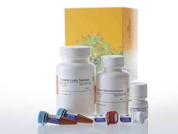 Triglyceride-Glo™ Assay（J3160）