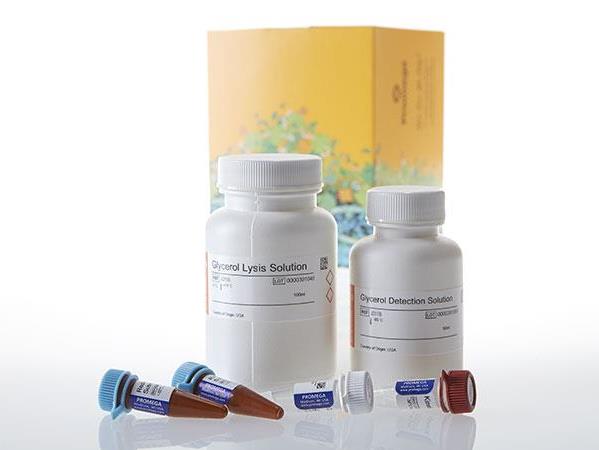 Glycerol-Glo™ Assay（J3150）