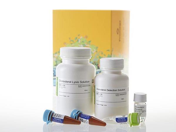 Cholesterol/Cholesterol Ester-Glo™ Assay（J3190）
