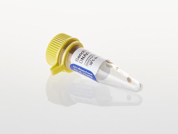 BenchTop φX174 DNA/Hae III Markers（G7511）