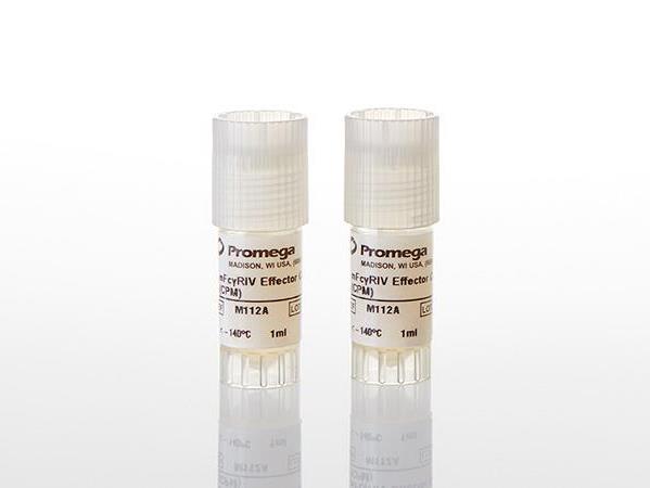 T Cell Activation Bioassay (NFAT), Propagation Model（J1601）