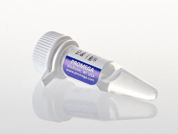 TCR Activating Antigen Stock Solution, 500µl（K1201）