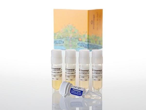 LAG-3/MHCII Blockade Bioassay, Propagation Model（JA1112）