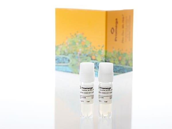 TCRαβ-KO Cell Line (CD4+), Propagation Model（GA1172）