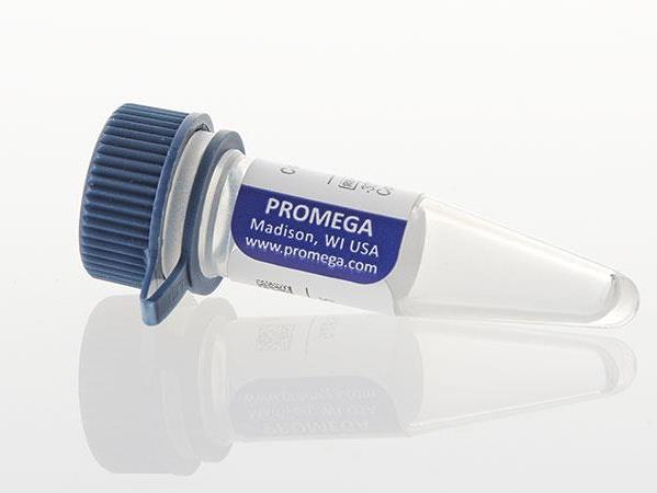 Control Antibody, Anti-CD40（K1181）