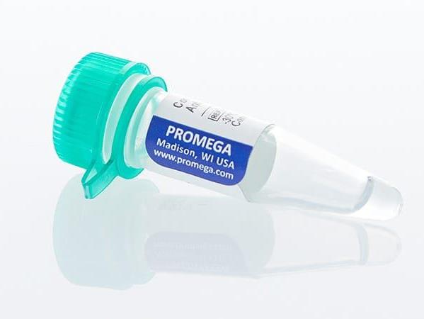 ViviRen™ Live Cell Substrate（E6491）