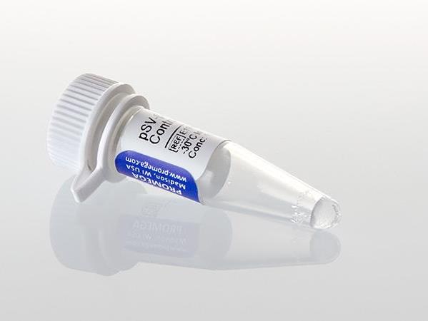 pSV-ß-Galactosidase Control Vector（E1081）