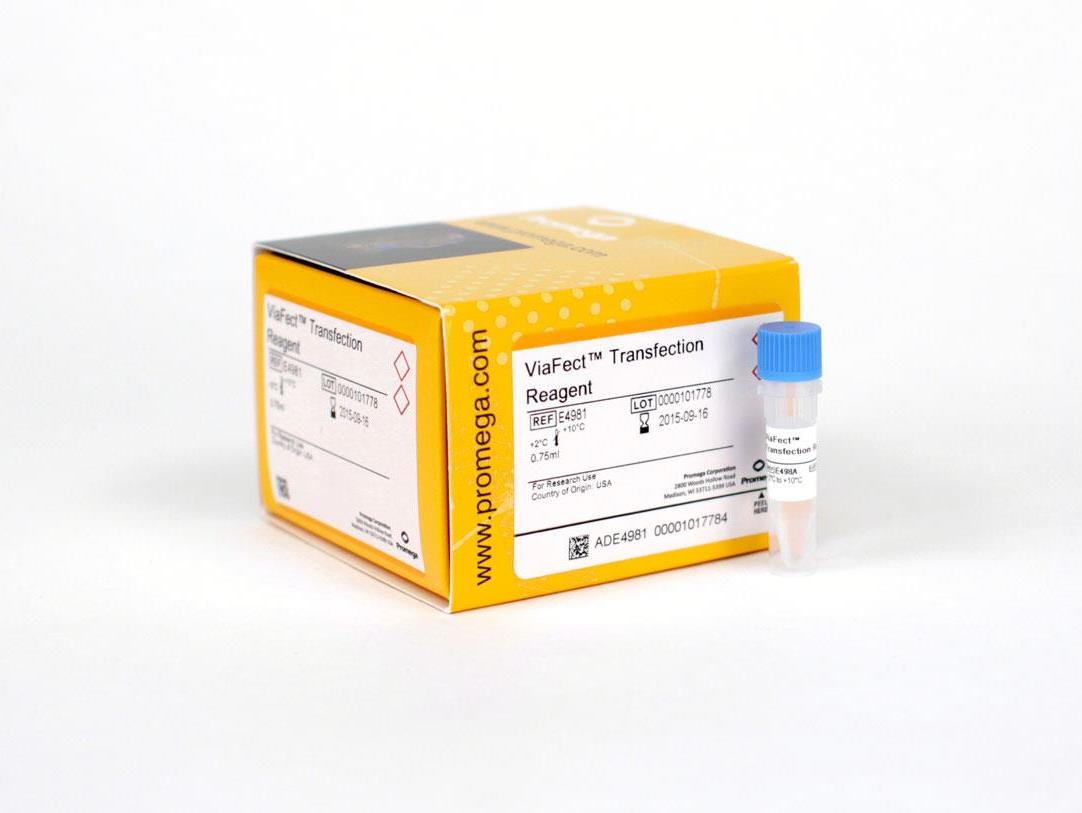 ViaFect™ Transfection Reagen（E4981）