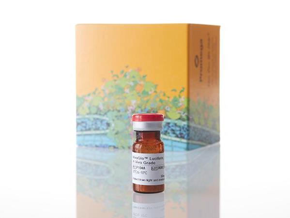 VivoGlo™ Luciferin,In Vivo Grade（P1043）