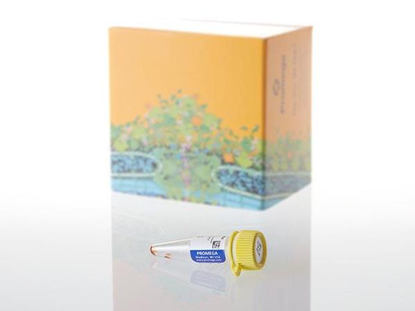 ViviRen™ In Vivo Renilla Luciferase Substrate（P1232）